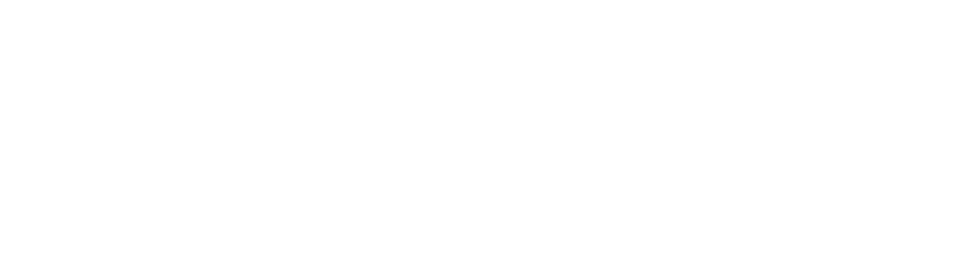 D-Vision